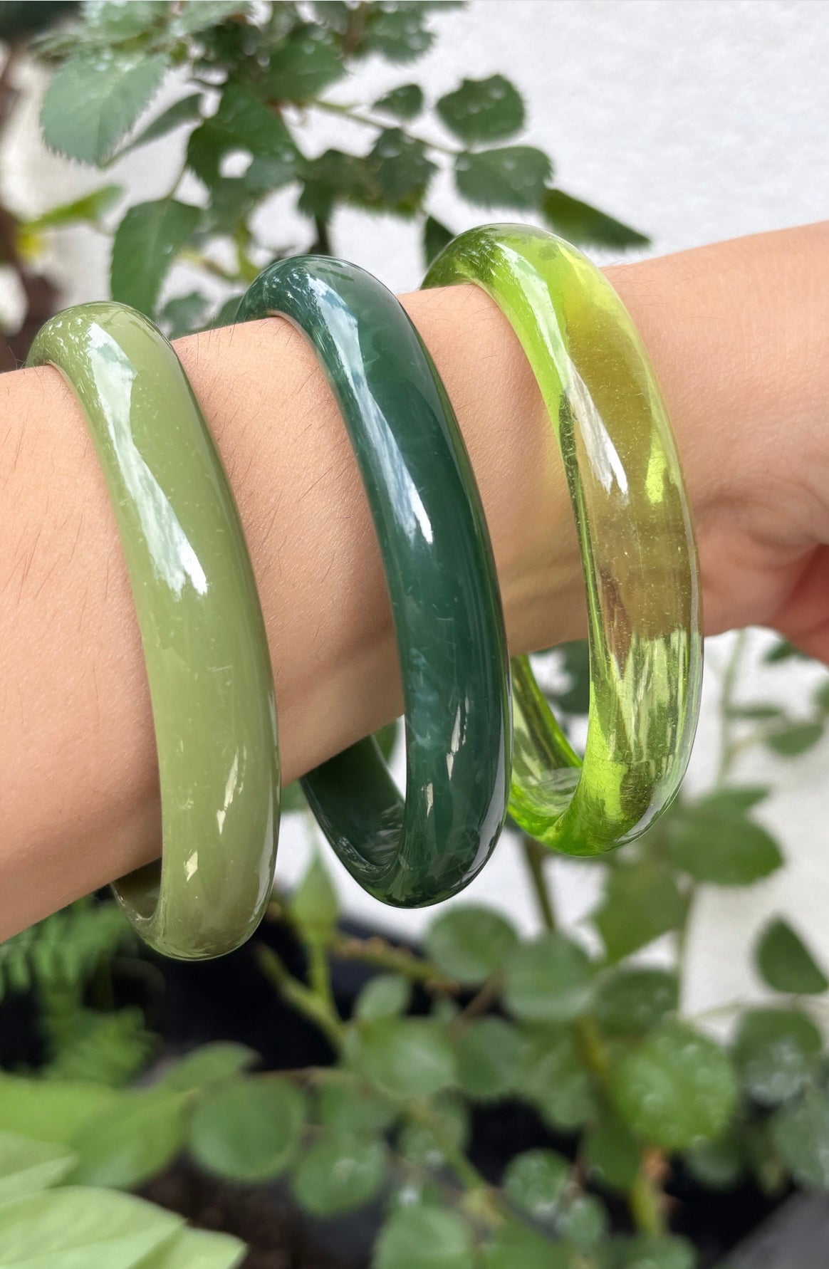 Ensemble de 3 jonc vert