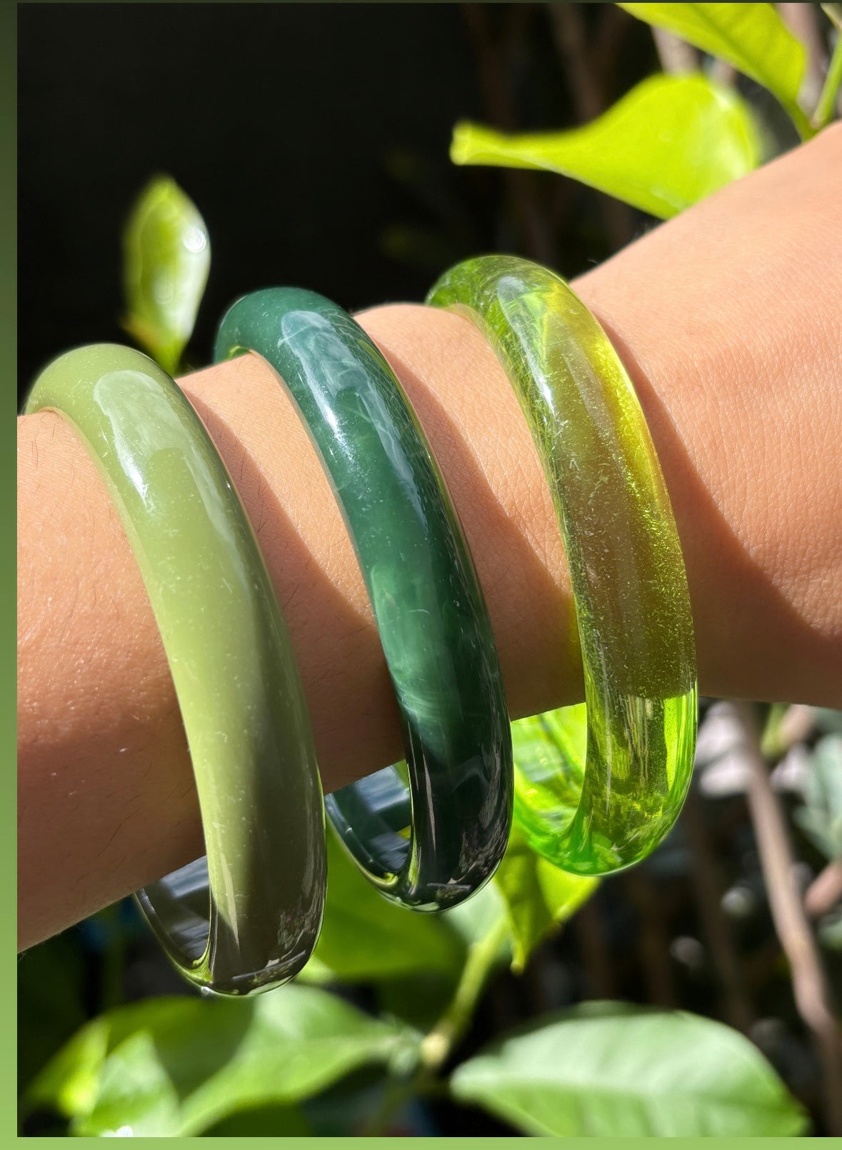Ensemble de 3 jonc vert