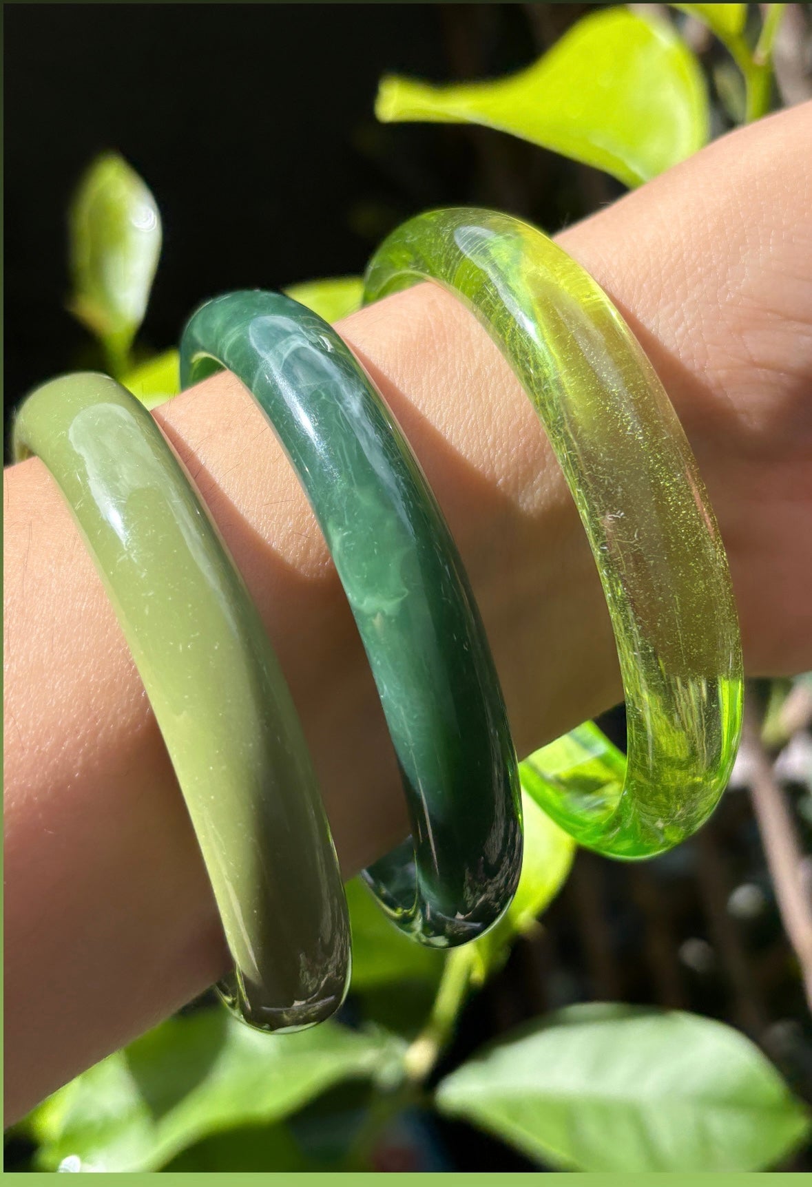 Ensemble de 3 jonc vert